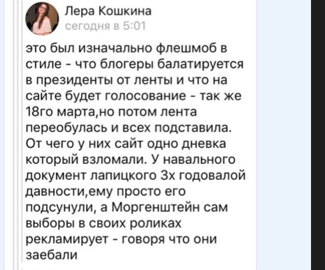 Листування Кошкіній з передплатником опублікував паблік   «ВКонтакте»   «Селфі: Журнал про Ютуб»